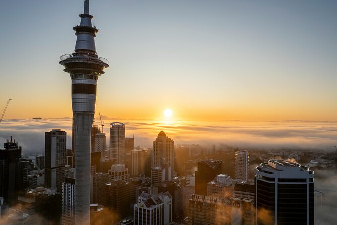 Auckland Full Day Attractions & Museums Tour - Crossing Auckland Harbour Bridge in 20 minutes