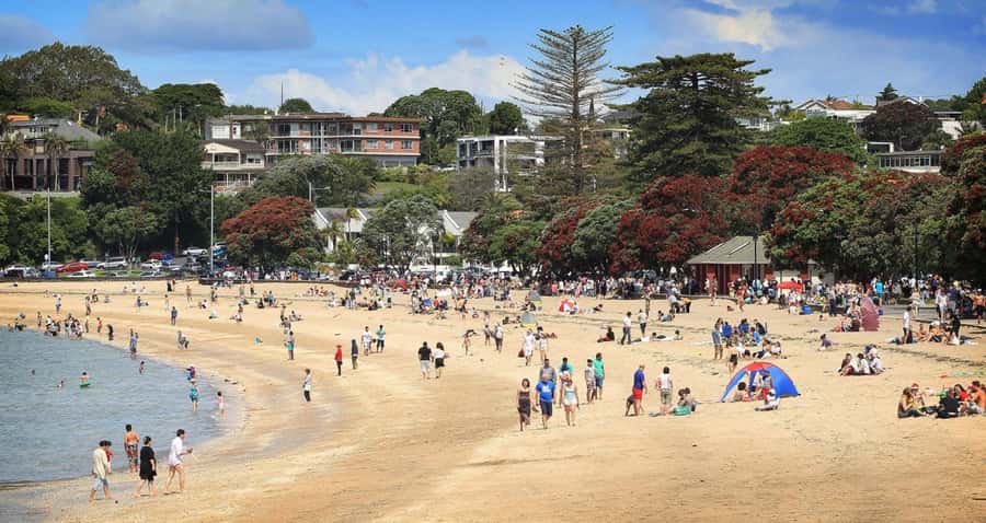 Auckland: Full-Day City Tour - Mt. Eden gives you the first big view