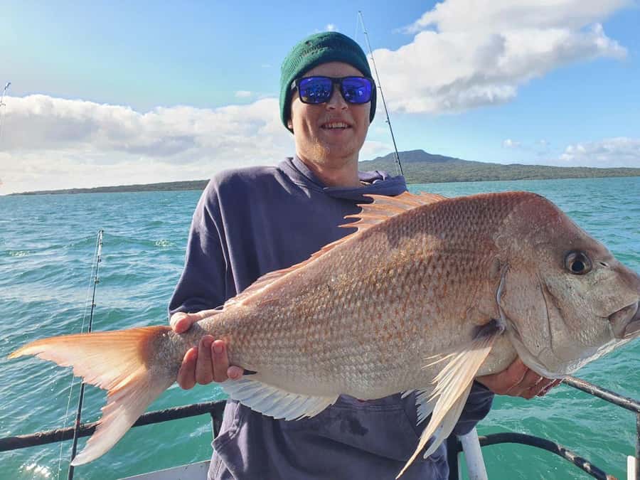 Auckland: Full-Day Fishing Charter (7 am - 4 pm) - Key points to know before you book