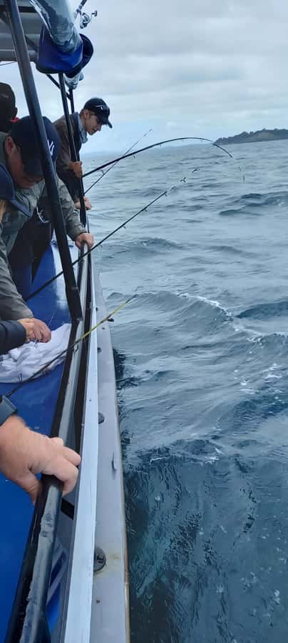 Auckland: Full-Day Fishing Charter (7 am - 4 pm) - Rods, tackle, bait, and the fine print