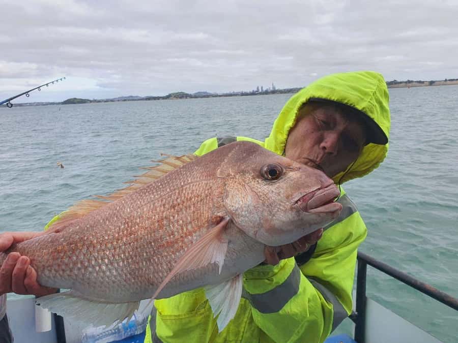 Auckland: Full-Day Fishing Charter (7 am - 4 pm) - What the crew adds to the day