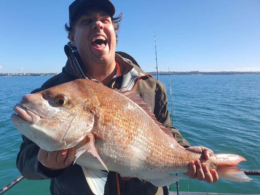 Auckland: Full-Day Fishing Charter (7 am - 4 pm) - Leaving from Z Pier at Westhaven Marina