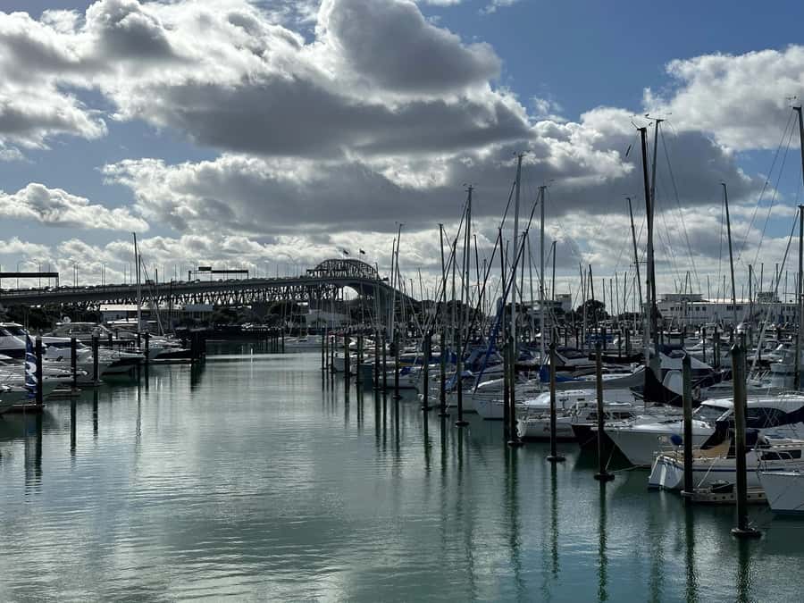Auckland: GoGuided Auckland City Tour - Commentary, language options, and the human touch