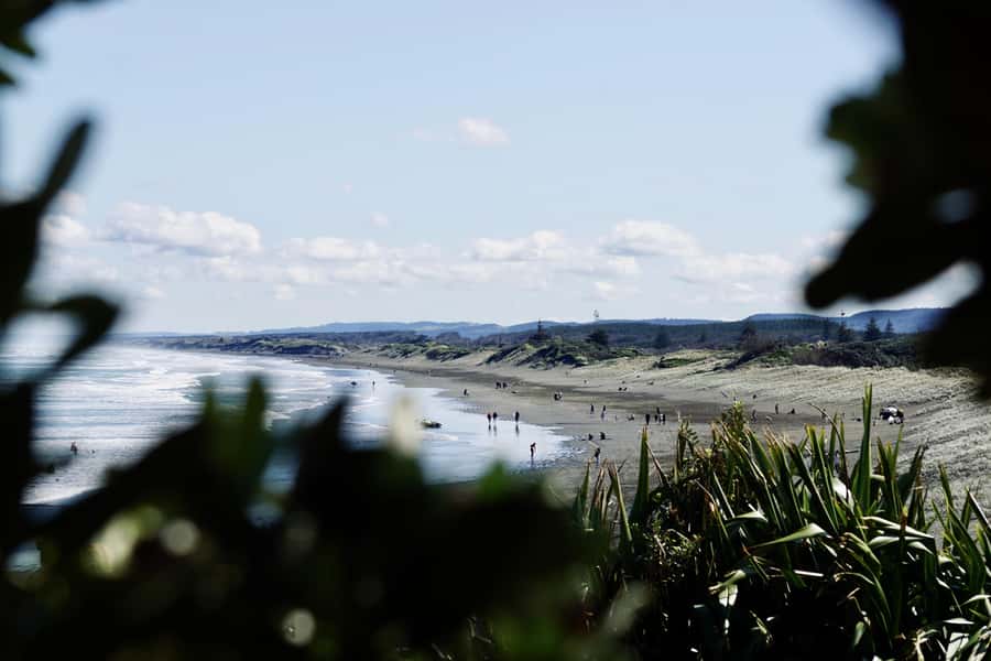 Auckland: Group Surfing Lesson with Muriwai Surf School - What the instructor style means for beginners