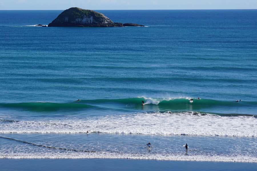 Auckland: Group Surfing Lesson with Muriwai Surf School - The $41 price and what it covers