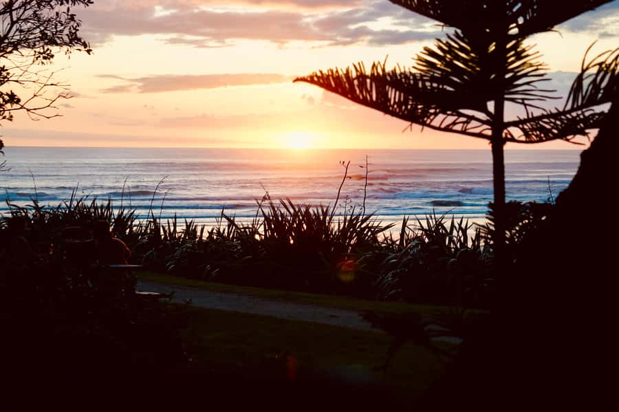 Auckland: Group Surfing Lesson with Muriwai Surf School - Who should book this surf lesson?