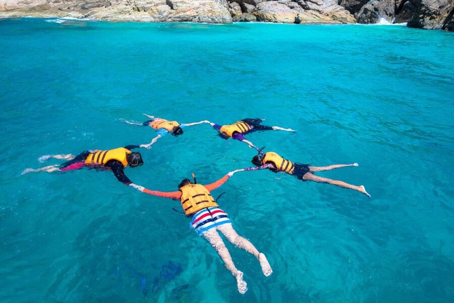 Auckland: Guided Snorkeling and Island Exploration Tours - Key points to know before you book