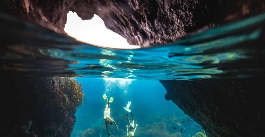Auckland: Guided Snorkeling and Island Exploration Tours - Why Tiritiri Matangi makes a good base