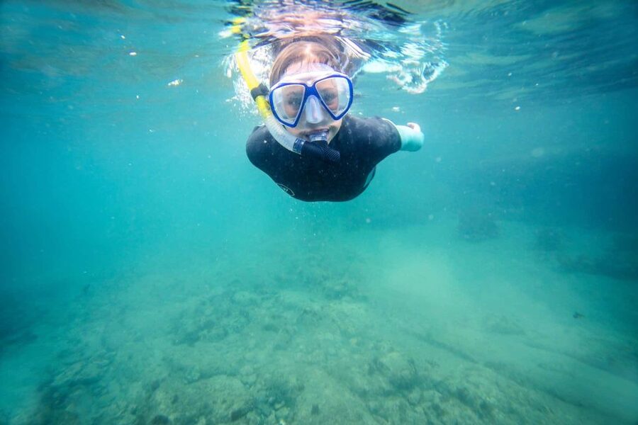 Auckland: Guided Snorkeling and Island Exploration Tours - Getting ready for the snorkeling session