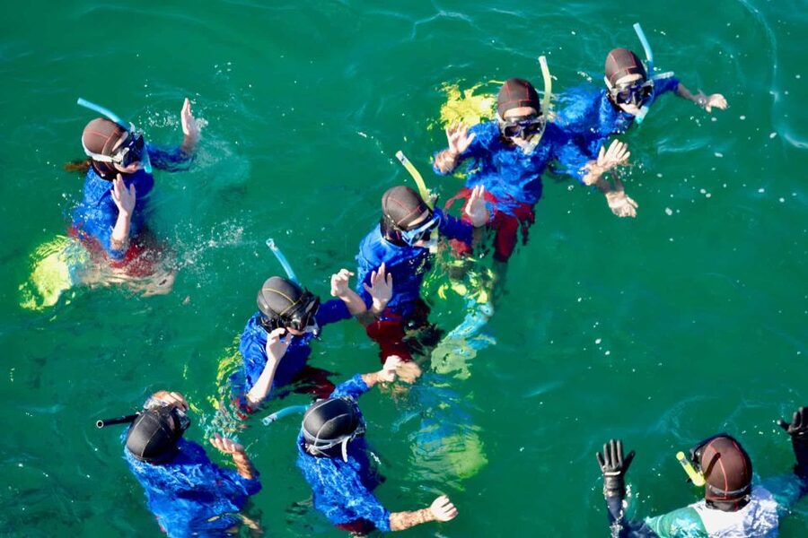 Auckland: Guided Snorkeling and Island Exploration Tours - The Eco-Walk and the island’s rare birds