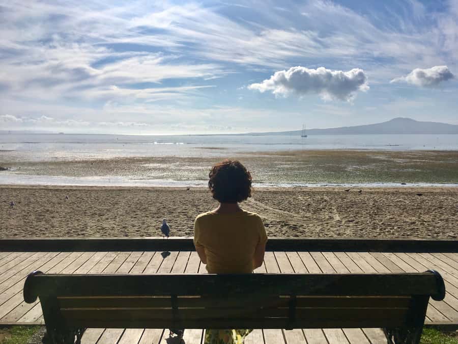 Auckland: Half-Day Auckland Volcanoes Tour - Auckland’s volcanoes in one compact morning