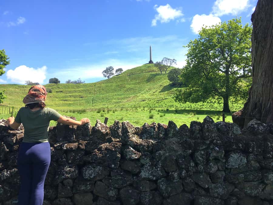 Auckland: Half-Day Auckland Volcanoes Tour - What the guides add to the outing