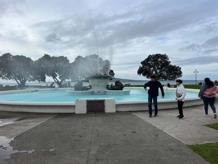 AUCKLAND: Half-Day CITY HIGHLIGHTS TOUR - Mt.Eden, Tamaki Dr - The guide and the feel of a small group