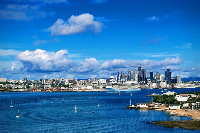 Auckland Half Day City Tour - Heart of Auckland - Key things to know before you book