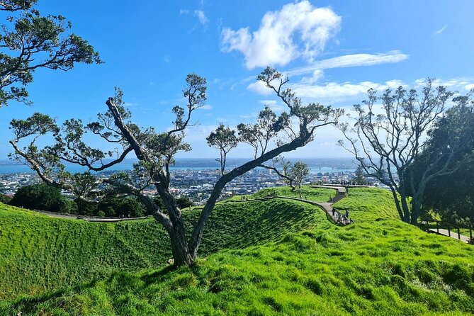 Auckland Half Day City Tour - Heart of Auckland - Is $99.29 a fair price?