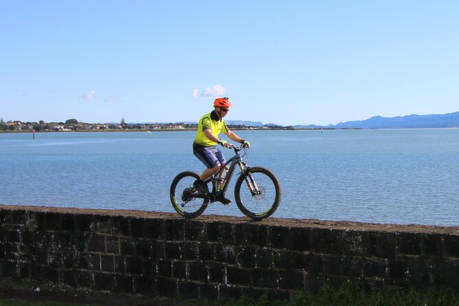 Auckland Half Day E-Bike Excursion - What Gordon adds to the experience