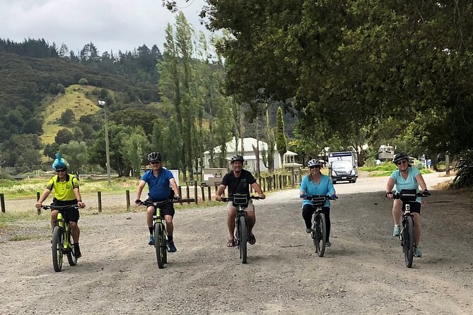 Auckland Half Day E-Bike Excursion - How difficult is the ride?