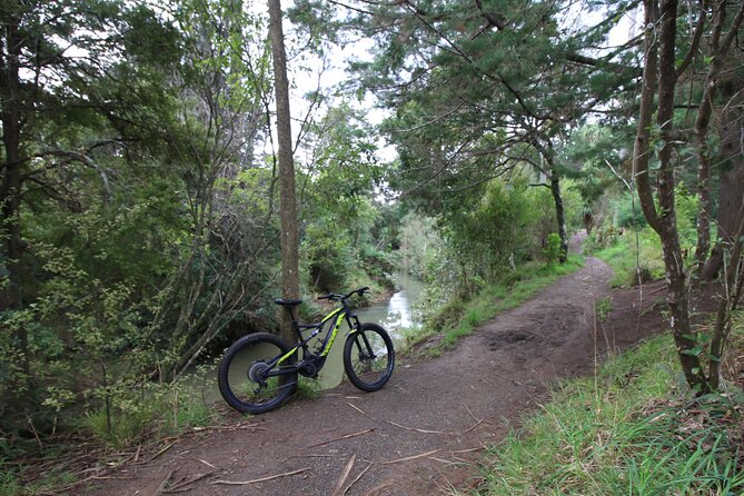 Auckland Half Day E-Bike Excursion - Private touring, timing, and value at $93.09