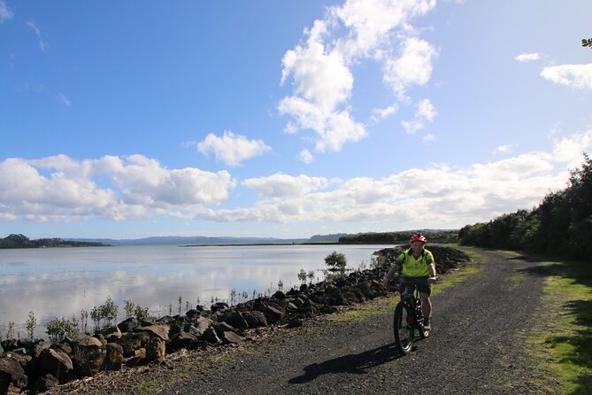 Auckland Half Day E-Bike Excursion - Te Atatu, views toward central Auckland, and a coffee stop