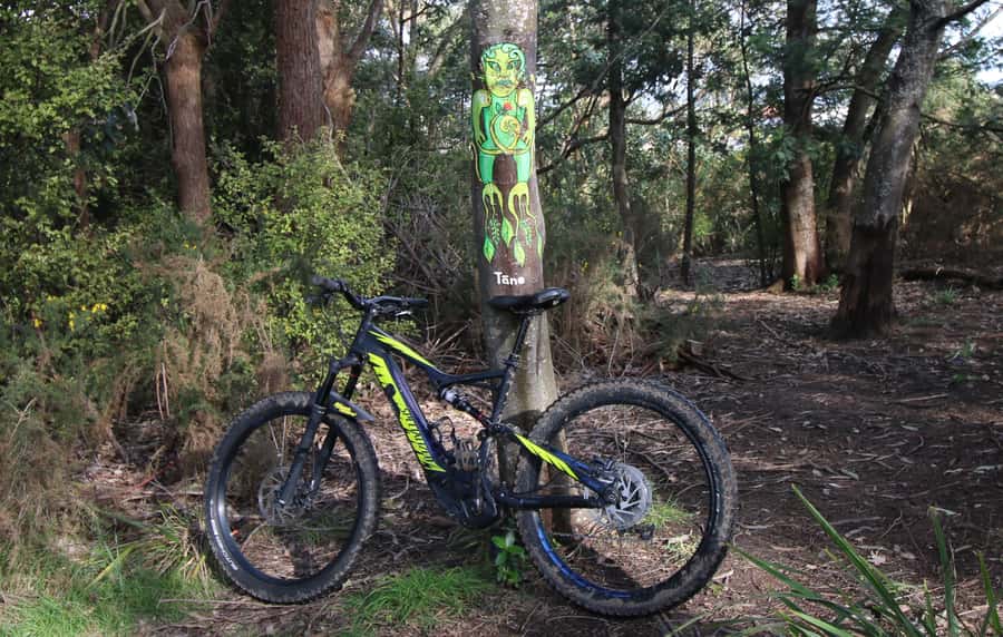Auckland Half-Day Ebike Tour Excursion - Key points at a glance