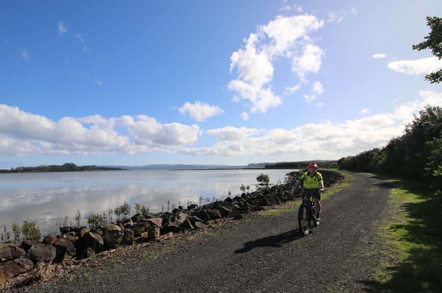 Auckland Half-Day Ebike Tour Excursion - Western Springs, Meola Reserve, and the western edge of the city