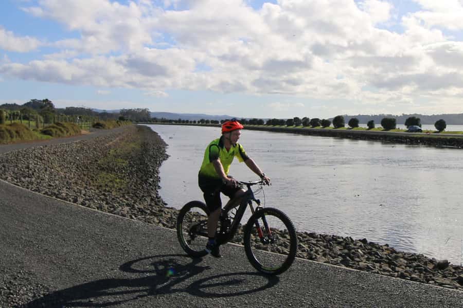 Auckland Half-Day Ebike Tour Excursion - The Avondale café stop and what it adds