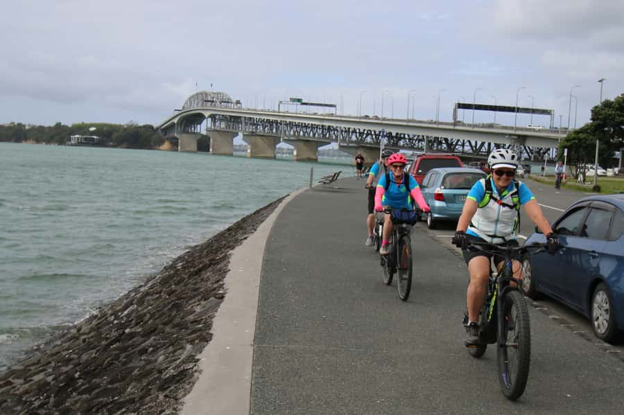 Auckland Half-Day Ebike Tour Excursion - Who will enjoy this ride most