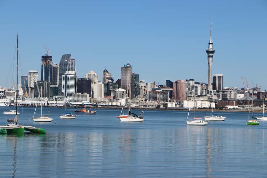 Auckland: Half-Day Scenic Sightseeing Tour - Crossing the Harbour Bridge to Devonport