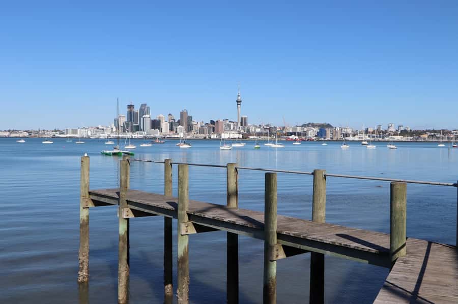 Auckland: Half-Day Scenic Sightseeing Tour - Tamaki Drive and Auckland’s eastern waterfront
