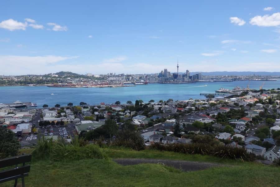 Auckland: Half-Day Scenic Sightseeing Tour - Timing, comfort, and the traffic factor