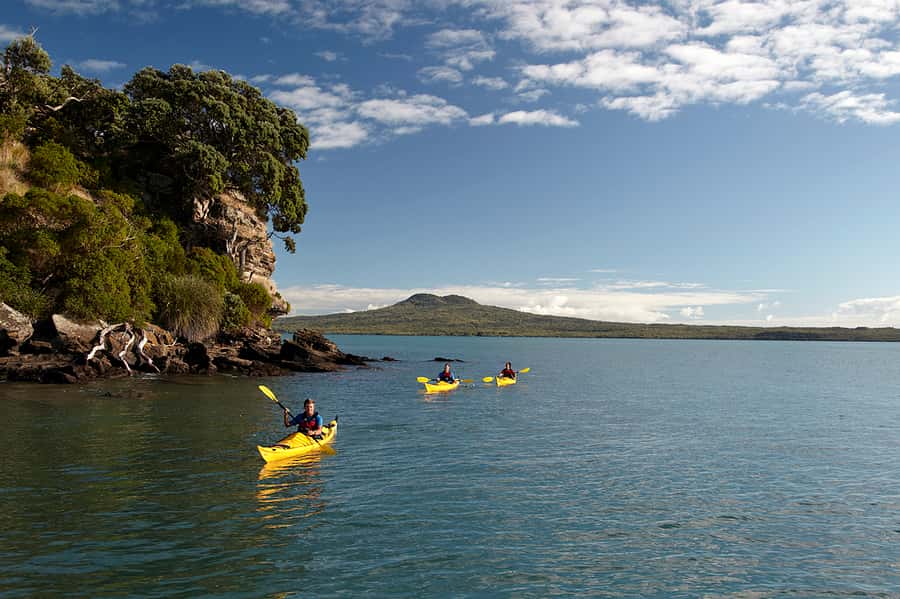Auckland: Half-Day Sea Kayak Tour to Motukorea Island - Key points about the Motukorea kayak trip
