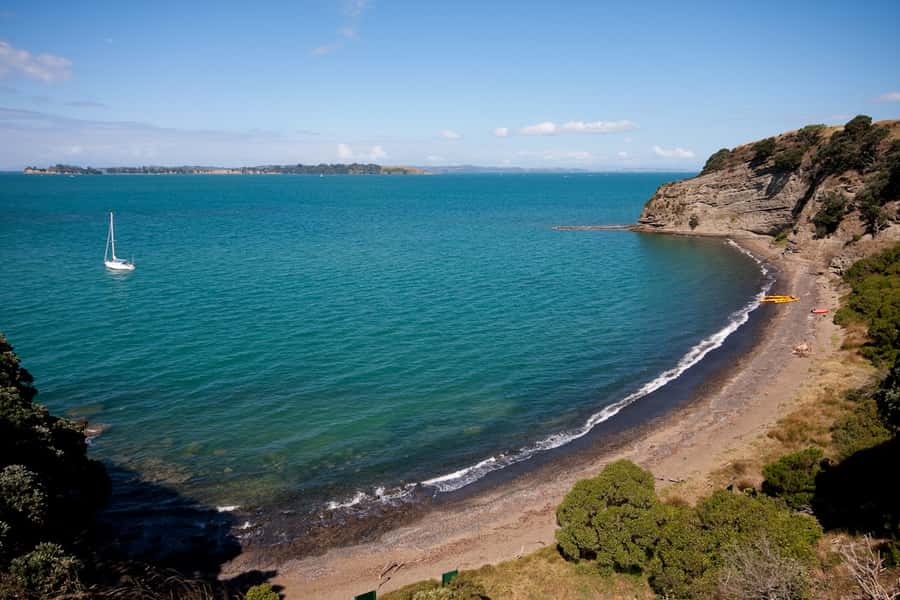 Auckland: Half-Day Sea Kayak Tour to Motukorea Island - Starting at St Heliers Beach