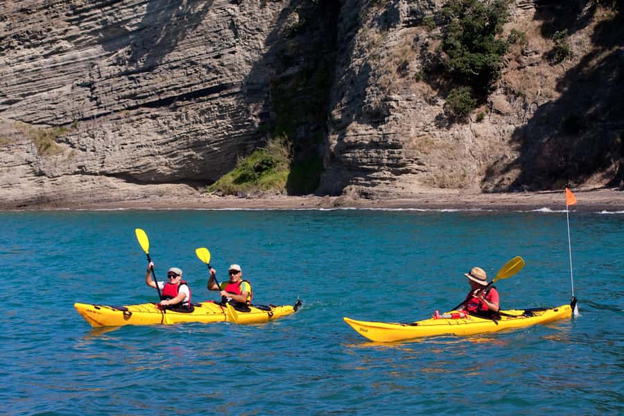 Auckland: Half-Day Sea Kayak Tour to Motukorea Island - Learning the basics before you paddle