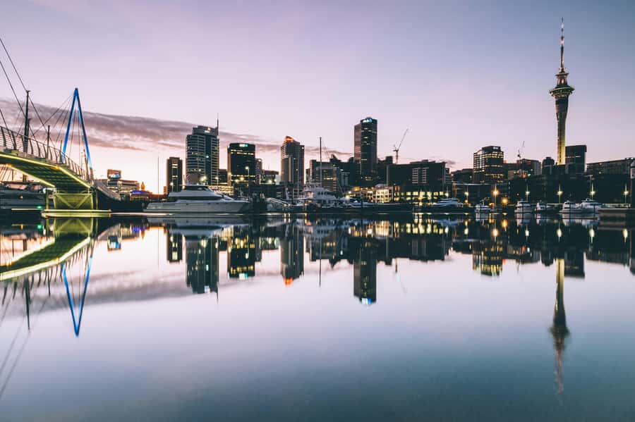 Auckland Half Day Tour Through Urban Wonders - Why this half-day tour works for a first look at Auckland