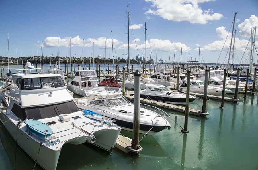 Auckland Half Day Tour Through Urban Wonders - Mission Bay and the Waitematā waterfront