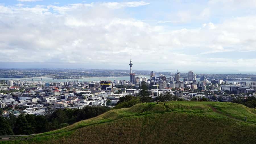 Auckland Half Day Tour Through Urban Wonders - What guide Sam adds to the outing