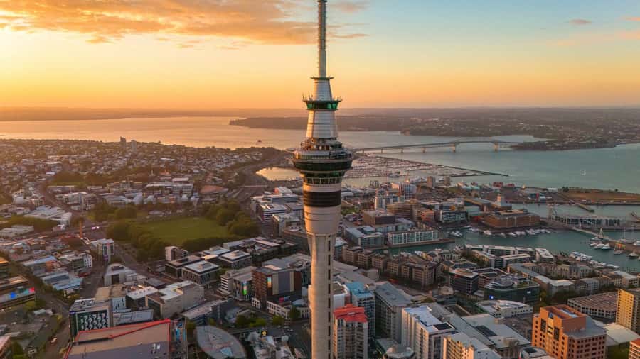 Auckland Half Day Tour Through Urban Wonders - Is $100 a fair price?