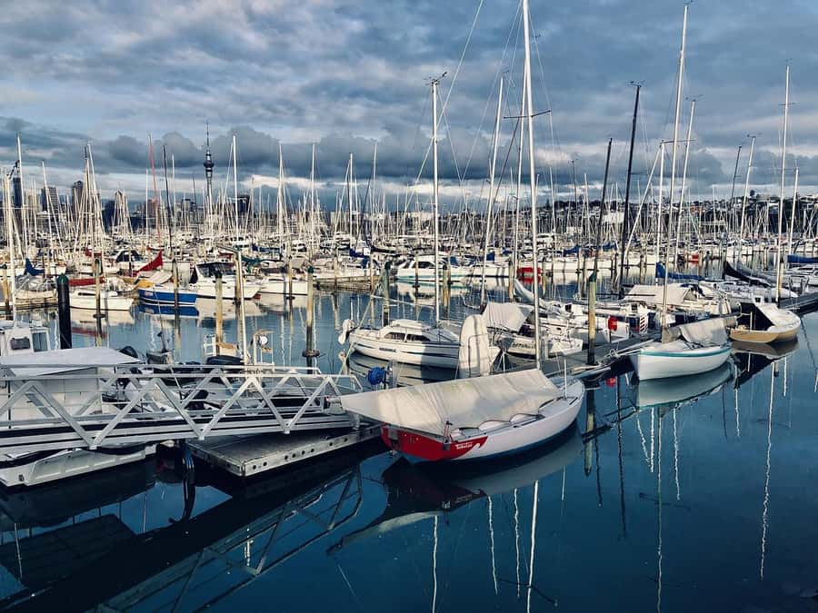 Auckland Half Day Tour Through Urban Wonders - Who should book this Auckland tour?