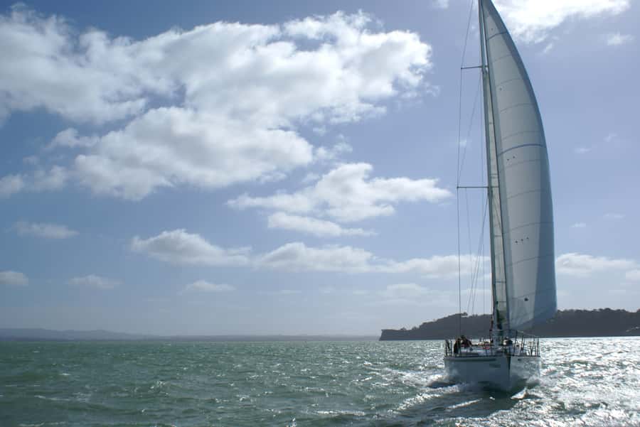Auckland Harbour 1.5-Hour Sailing Cruise - Is $65 good value for 90 minutes?