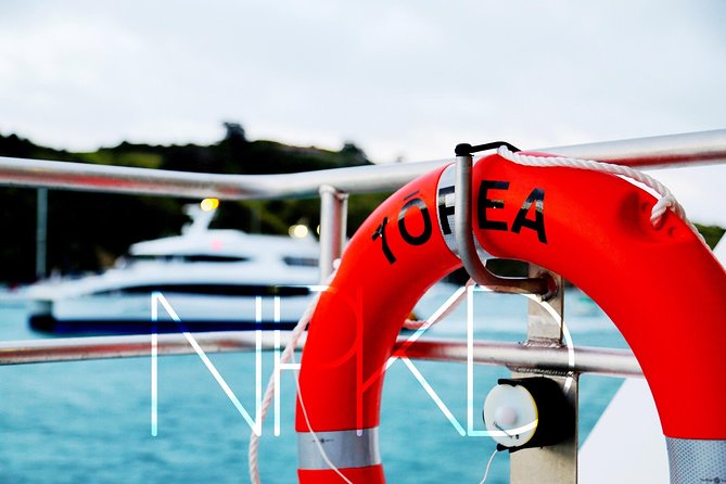 Auckland Harbour Cruise - Finding the best seat on board