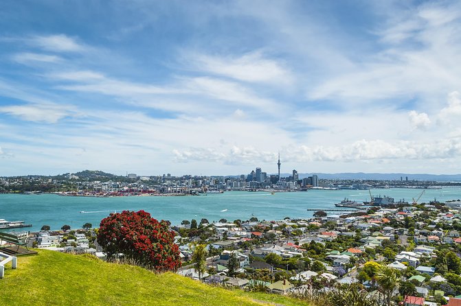 Auckland Harbour Cruise - Practical details that can save your afternoon