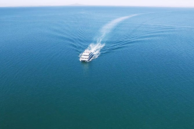 Auckland Harbour Cruise - What you see during the 90 minutes