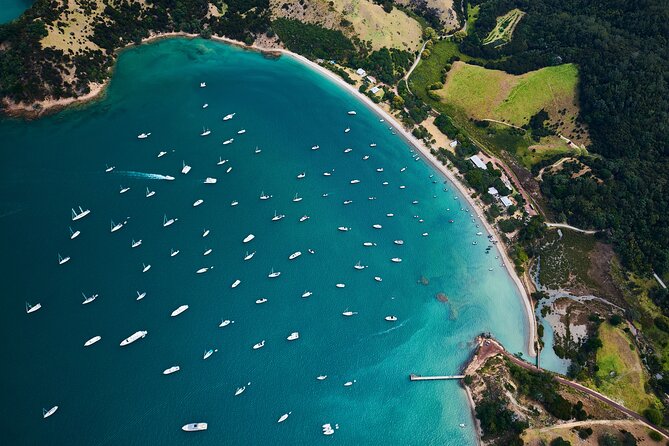 Auckland Harbour Sailboat Cruise Including Three Course Dinner - Comfort, space, and practical details