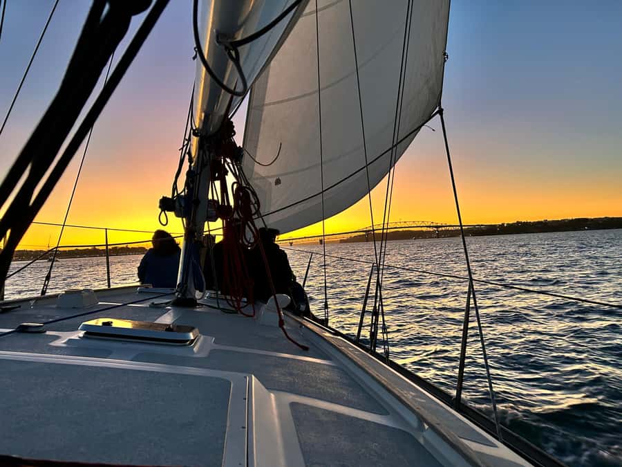 Auckland: Harbour Sailing Cruise with 3-Course Dinner - Starting at Viaduct Harbour
