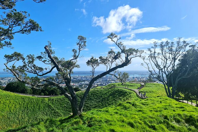 Auckland Hidden Gem Half Day Tour - Looking over Auckland from Mount Eden