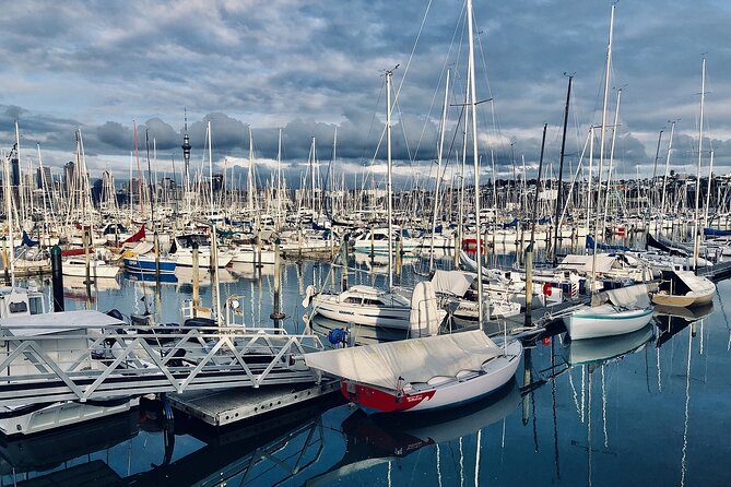 Auckland Highlight Attractions Small Group Tour - Sam’s guiding style adds value between the stops