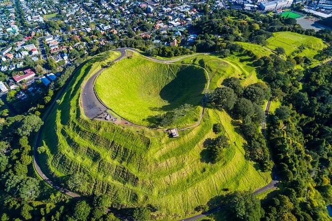 Auckland Highlight Attractions Small Group Tour - Group size, timing, and physical effort
