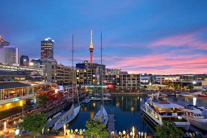 Auckland Highlight Fullday City Tour - A practical way to see Auckland in one day