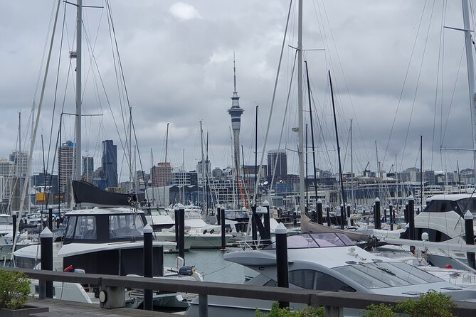 Auckland Highlights Full Day Guided Tour - One Auckland day, from yacht harbor to black sand