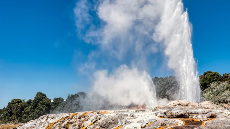 Auckland: Hobbiton and Rotorua Day Tour including Te Puia - What to bring and who should book